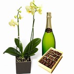 Orchidej s dobrůtkami